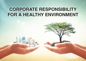 Corporate responsibility for a healthy environment