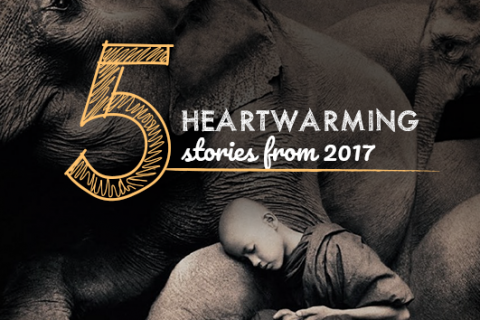 5-heartwarming-stories-blog (2)